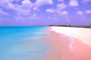 pink-sands-beach-harbour-island-bahamas